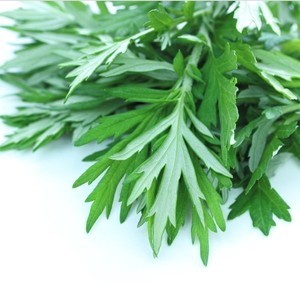 000人付款淘宝做清明果的草青艾新鲜食用蔬菜现摘粑