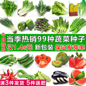 四季蔬菜种子香菜小葱黄瓜青菜白菜萝卜南方辣椒生菜种籽种孑大全
