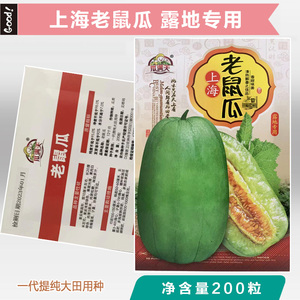 上海本地老鼠瓜雪梨甜瓜种子青皮香瓜种籽酥菜瓜水瓜松脆瓜果种孑