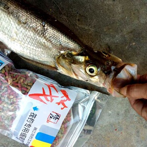 腾江筏钓窝料筏钓饵料米翘筏钓打窝器专用缓降饵料翘嘴颗粒饵微铅