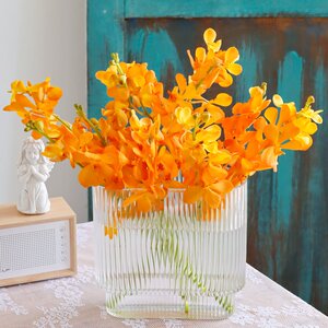 千代兰橘色鲜花洋兰万代兰直批顺丰上海插花婚庆水养鲜切花情人i