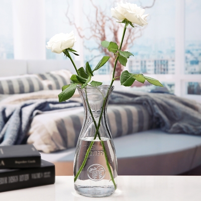文艺小清新简约透明玻璃花瓶客厅茶几水培植物花插花器花艺摆件