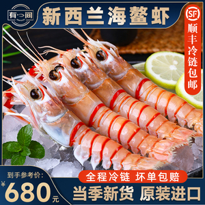 新西兰鳌虾刺身进口斯干比海鳌虾scampi刺身特大新鲜鲜活刺身日料