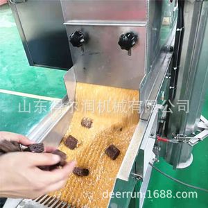 休闲食品裹花生碎机器 饼干上糖机 巧克力上浆机涂层生产线设备
