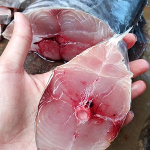 惠来神泉港深海大马鲛鱼肉切片400g