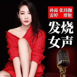 车载孙露雷婷张玮伽发烧女声u盘歌曲汽车载优盘音乐无损高音质