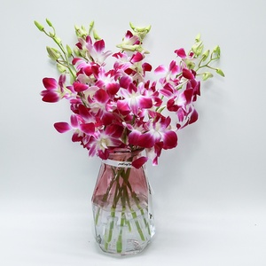 2222进口洋兰鲜花酉mf餐装饰插花节日花束水养包月广州云南直发a.