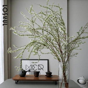 雪柳鲜切粉色喷雪花鲜枝条室内鲜花鲜枝水养切花水培装饰小手球