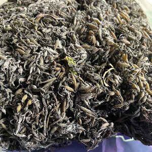 温州洞头特产干品羊栖菜长寿菜鹿角菜海草500g可凉拌炖汤