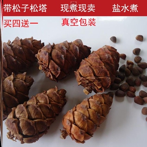 东北特产野生松塔带松子新货干果大兴安岭水煮马尾松塔2020新货