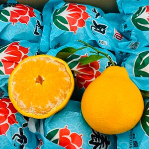 春见耙耙柑日本