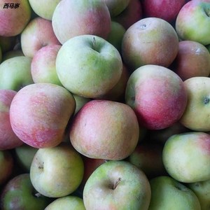 国光苹果新鲜10斤