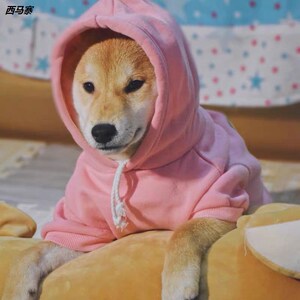 可爱狗的一家 春秋宠物小柴犬秋田中型犬卫衣幼犬哈士奇棉质衣服