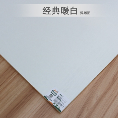 榻榻米护墙板板材暖白柔光白色烤漆板柜子生态免漆e0衣柜板18门板