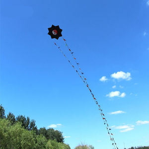 八卦风筝大型风筝高档风筝线轮轮盘专业八角风筝太极微风易飞成人