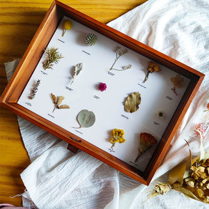 干花果实植物标本相框立体翻盖木盒壁挂复古手工ldiy民宿场景布置