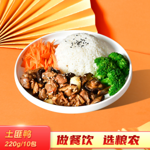广州人康淘宝广州蒸烩煮湘西土匪鸭湖南特产200克料理包浇头盖饭