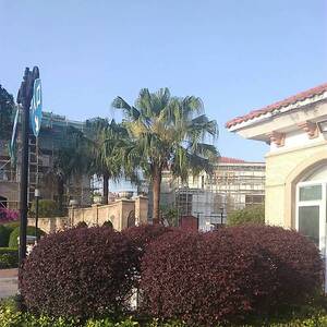 中山市·美景半岛湾