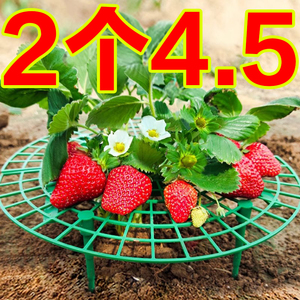 花架草莓支架太阳花托盘架子盆栽果实防倒护叶支撑架新款园艺用品
