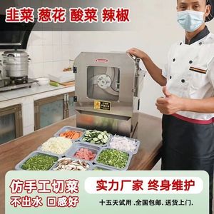 多功能小型切菜机商用食堂韭菜葱花辣椒圈豆角酸菜切片电动切菜机