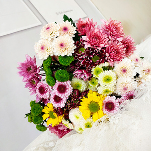 2222小雏菊鲜p花x花束真花水养云南基地直发百合玫瑰混搭花材同a.