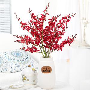 22当季花材火焰兰鲜花y家用插花卉辅材云南昆明基地直发家用插花