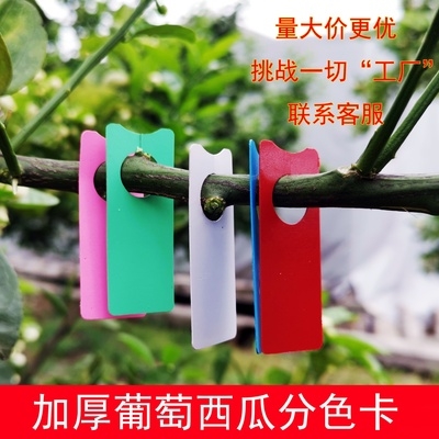 新款卡片葡萄标记卡果木植物标签塑料标识牌盆景标记牌用具葡萄.