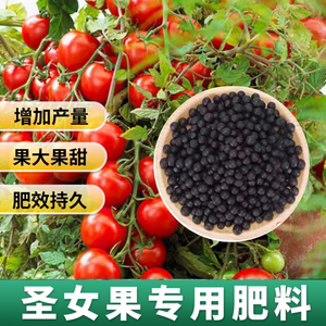 圣女果专用肥阳台种菜圣女果番茄肥料蔬菜肥有机肥瓜果颗粒缓释肥