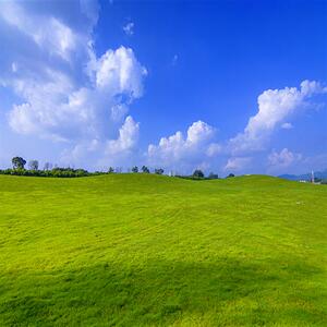 新款直播间背景布立体3d山水竹林i快手网红主播室外风景花草拍照