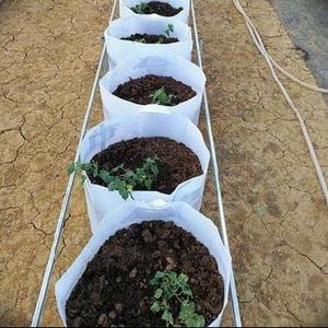 无纺布美植袋园林透气无纺布袋果树苗种树袋网袋葡萄树育苗杯营养