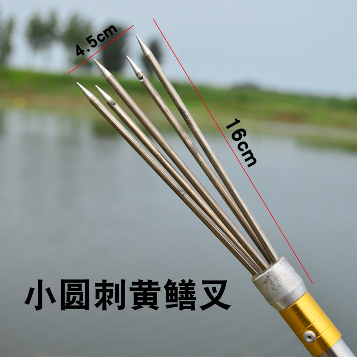 不锈钢倒刺鱼叉头捉黄鳝叉鳝鱼叉龙虾工具p叉抓泥鳅叉小鱼叉子