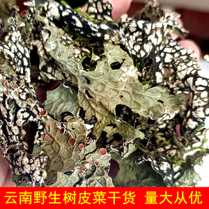 云南楚雄特产野生树皮菜野菜树皮树花凉拌菜青蛙皮原始森林树蝴蝶