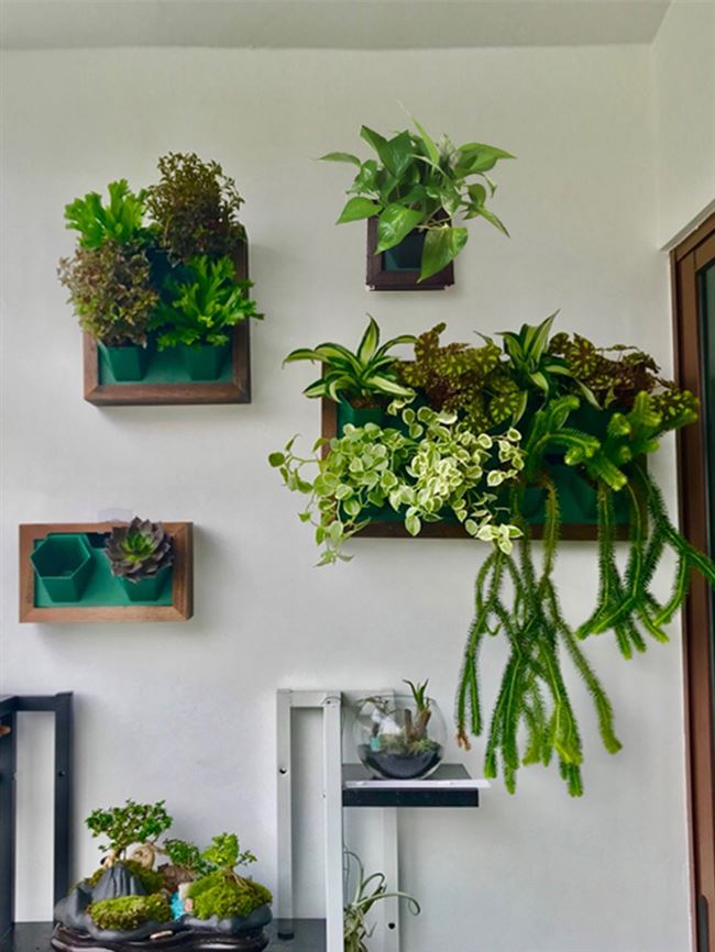 花架相框植物免钉壁挂墙上花盆真挂式挂墙创意绿植吊兰绿萝墙上.