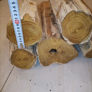 柘木原木陈化b老料佛珠手串玩具手把件笔筒雕刻黄金刺黄金檀木料