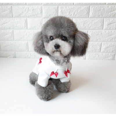 泰迪狗衣服简单