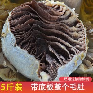 牛肚5斤带底板整个毛肚新鲜重庆火锅配菜麻辣烫食材牛肚牛杂冰鲜