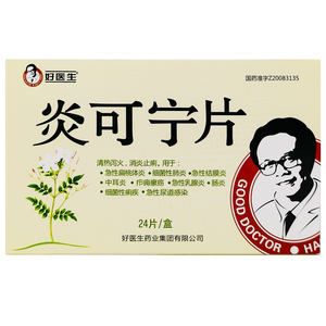 炎可宁片24片