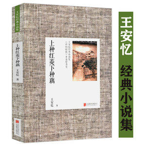 8包邮】王安忆经典小说作品集:上种红菱下种藕//茅盾文学奖获奖作家现