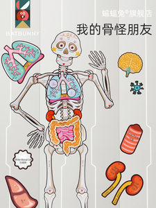 我的骨怪朋友人体模型骨骼构造结构拼图器官儿童身体认知益智玩具