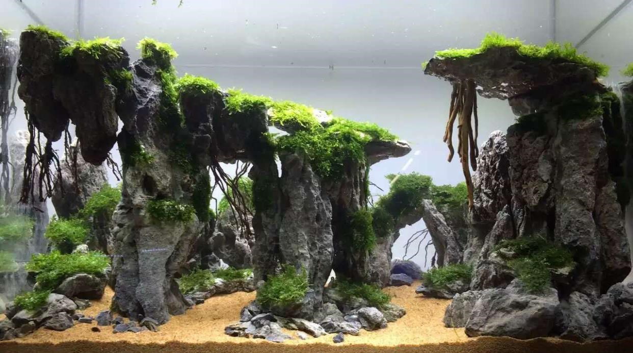 定制峰林峭壁大峡谷造景石虎皮石松皮石鱼缸草缸水陆缸懒人景观