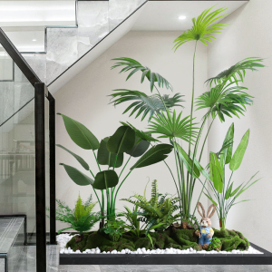 【旅人蕉植物】旅人蕉植物品牌,价格 - 阿里巴巴