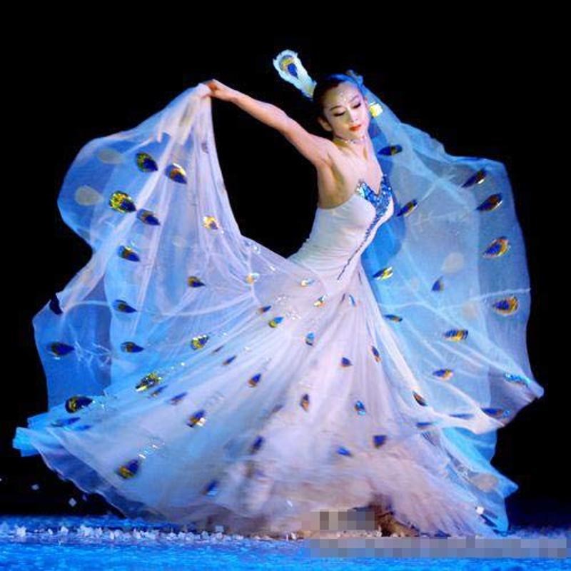 孔雀舞演出服杨丽萍