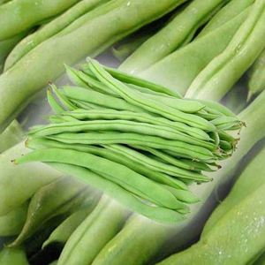 泰国无筋架豆王矮生四季豆种子地豆王高产豆角种子不搭架蔬菜种子