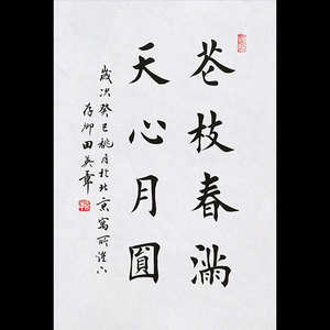 田英章字画手写作品天心月圆毛笔书法客厅书房办公室精品装饰送礼