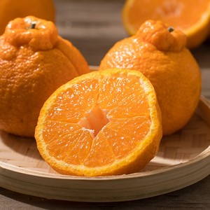 文大爷果园四川不知火丑橘3斤装单果果径70mm起