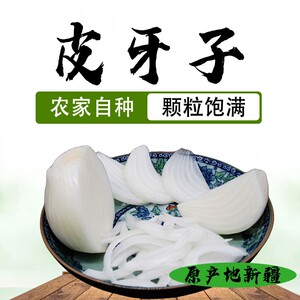 新疆白皮牙子白皮洋葱头新鲜皮芽子5斤装云南小水果洋葱甜味生吃