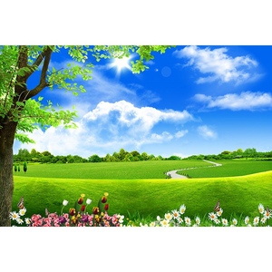 蓝天白云 草地 花草树木自然风景画装饰客厅电视背景墙贴壁画自粘