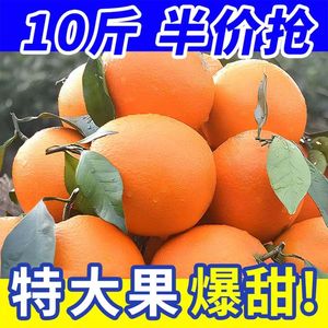 脐橙新鲜应季水果整箱10斤四川高山甜橙子手剥橙甜柑橘果园现摘发