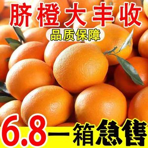 现摘纽荷尔脐橙自家果园新鲜当季水果甜橙子赣南品种整箱10斤5斤