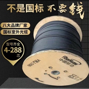 国标24芯48芯8芯12芯16芯96芯144芯多模单模千兆光缆铠装光纤跳线